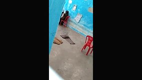 Desi govt teachers having sex in classroom